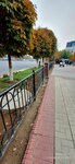 Alisher Navoiy kinoteatr (Fargʻona, Vatan Ravnaqi ko'chasi),  Farg‘onada jamoat transporti bekati