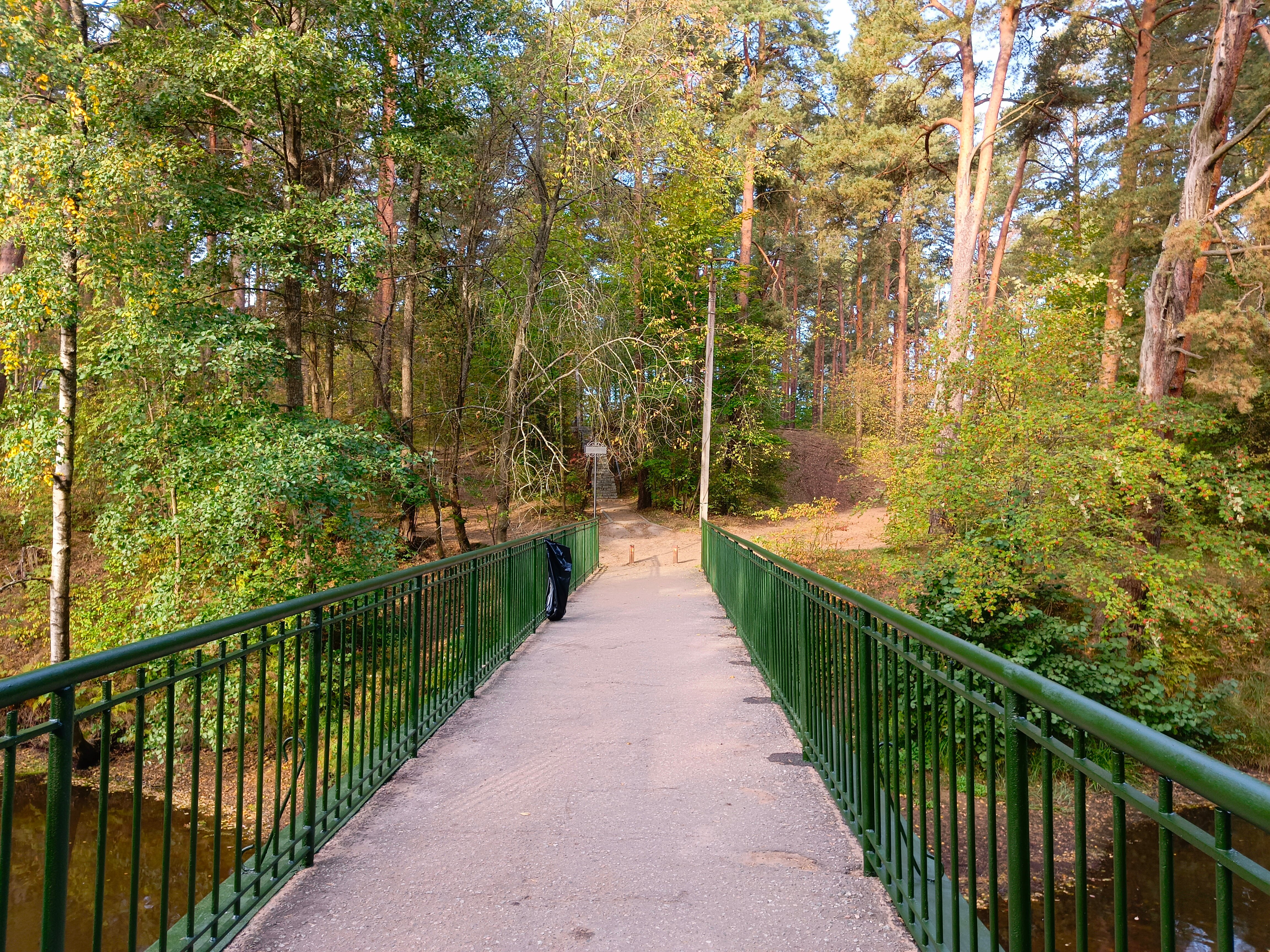Фото Черничный Берег