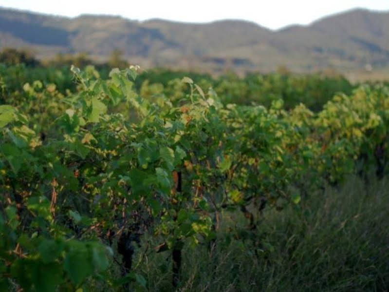 Фото Windarra Lodge