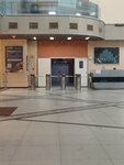 MindMICE (Mamina-Sibiryaka Street, 101), exhibition stands