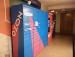 Ozon Box (Lva Tolstogo Street, 9) ، الطرود الآلي