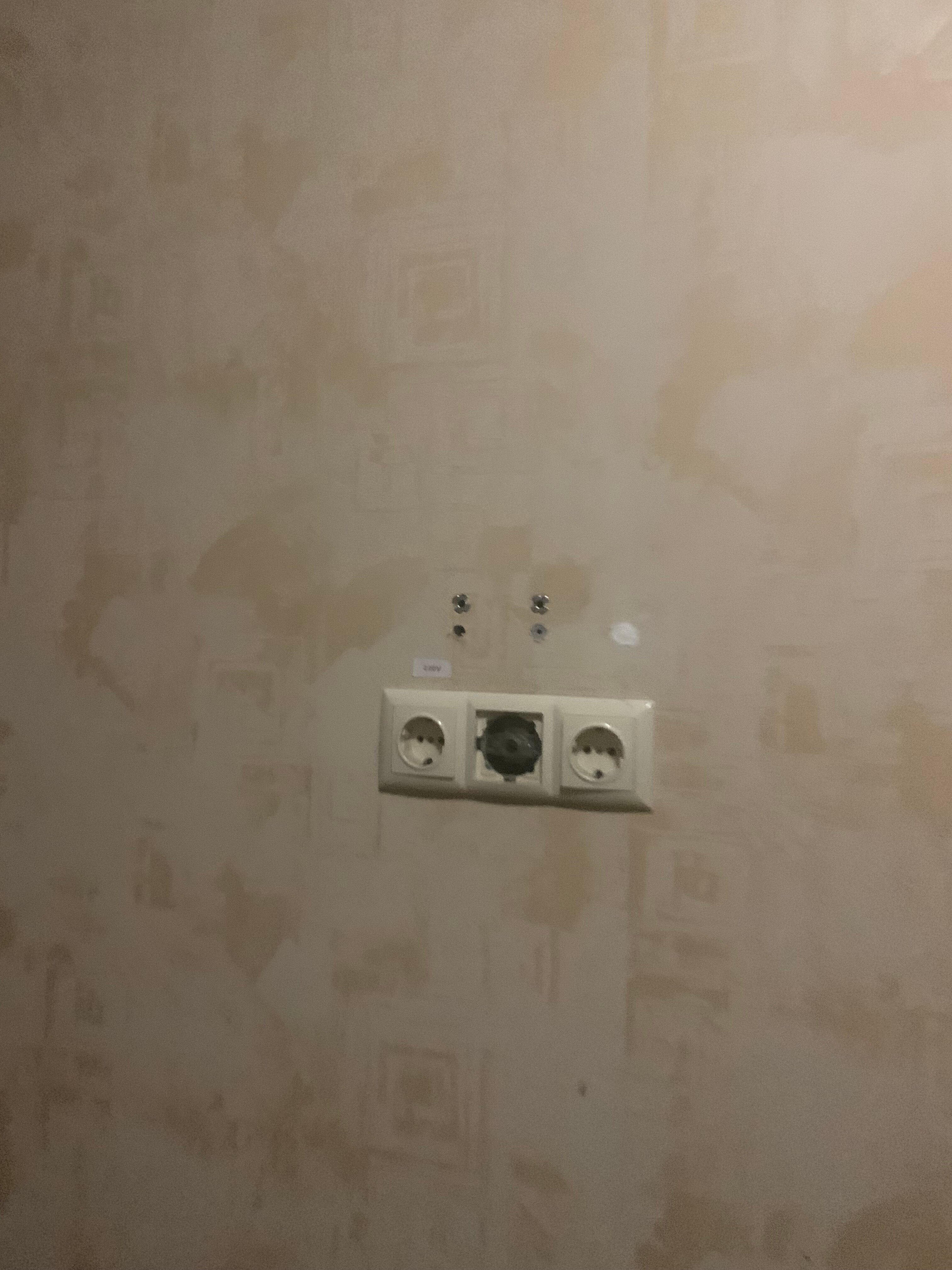 Фото Базилик 