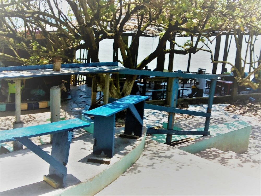 Фото Rising Phoenix