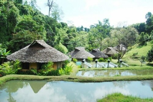 Гостиница Tadplacamp Organic Farm Stay