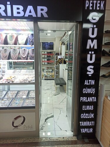 Petek Gümüş Fotoğraf 3