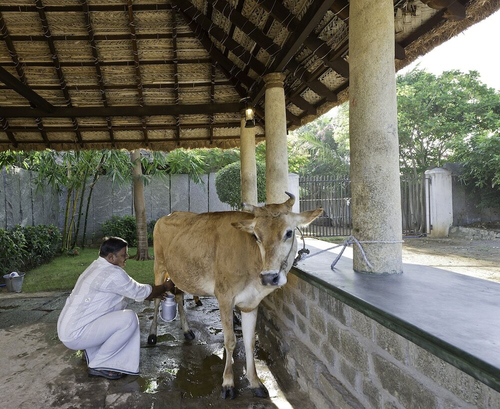 Фото Sparsa Thiruvannamalai