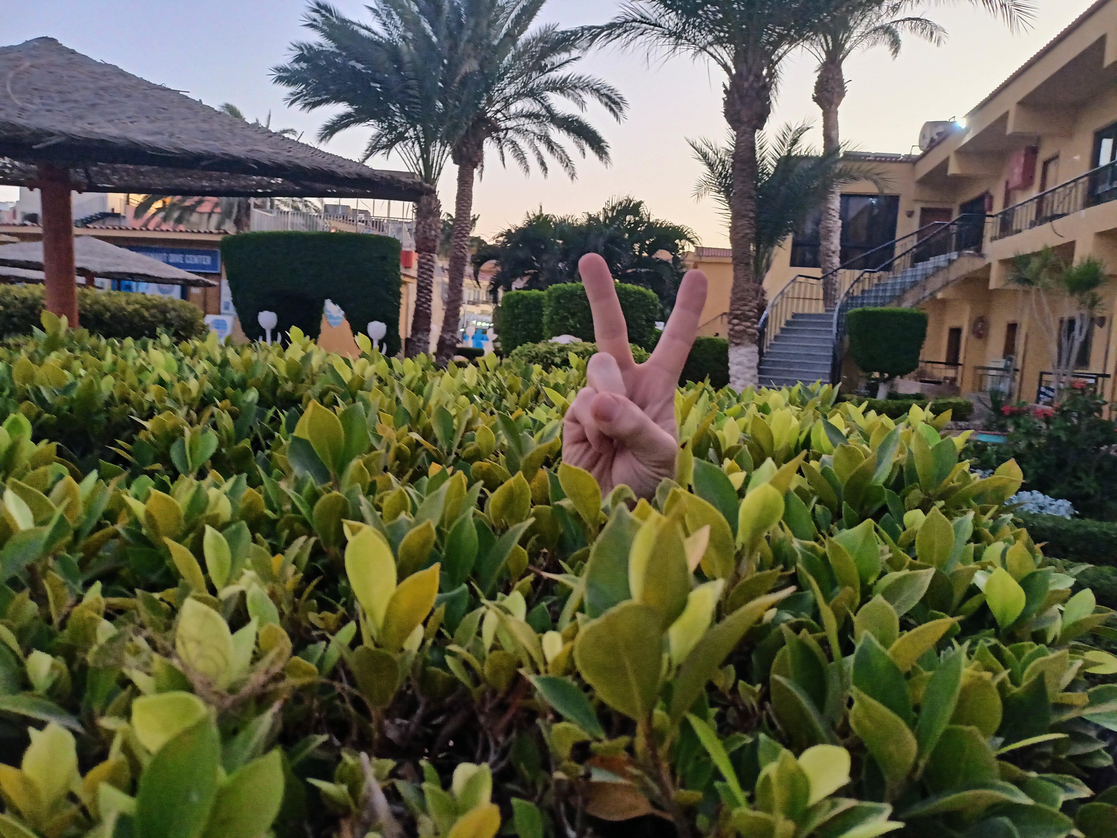 Фото Sand Beach Resort