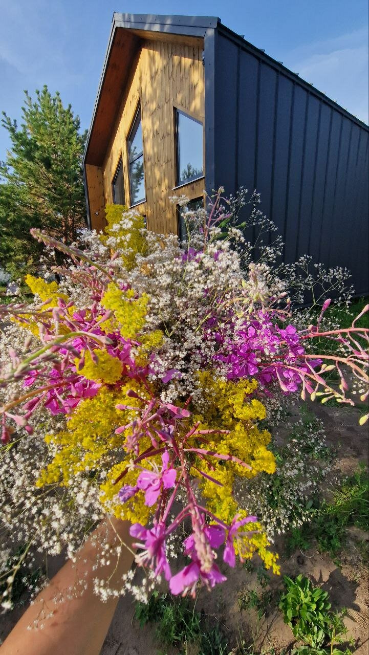 Фото Лесная Хижина