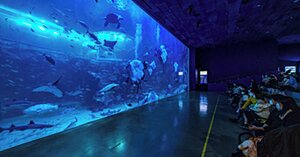 Гостиница Shilla Stay Yeosu