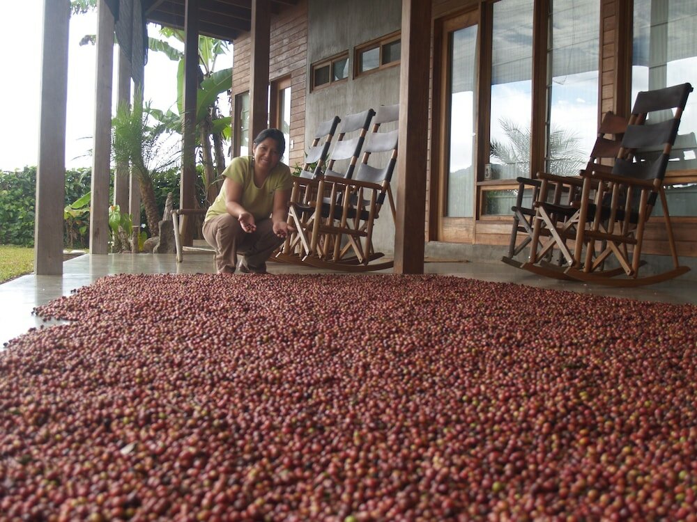 Фото Casa Amanecer Bed & Breakfast