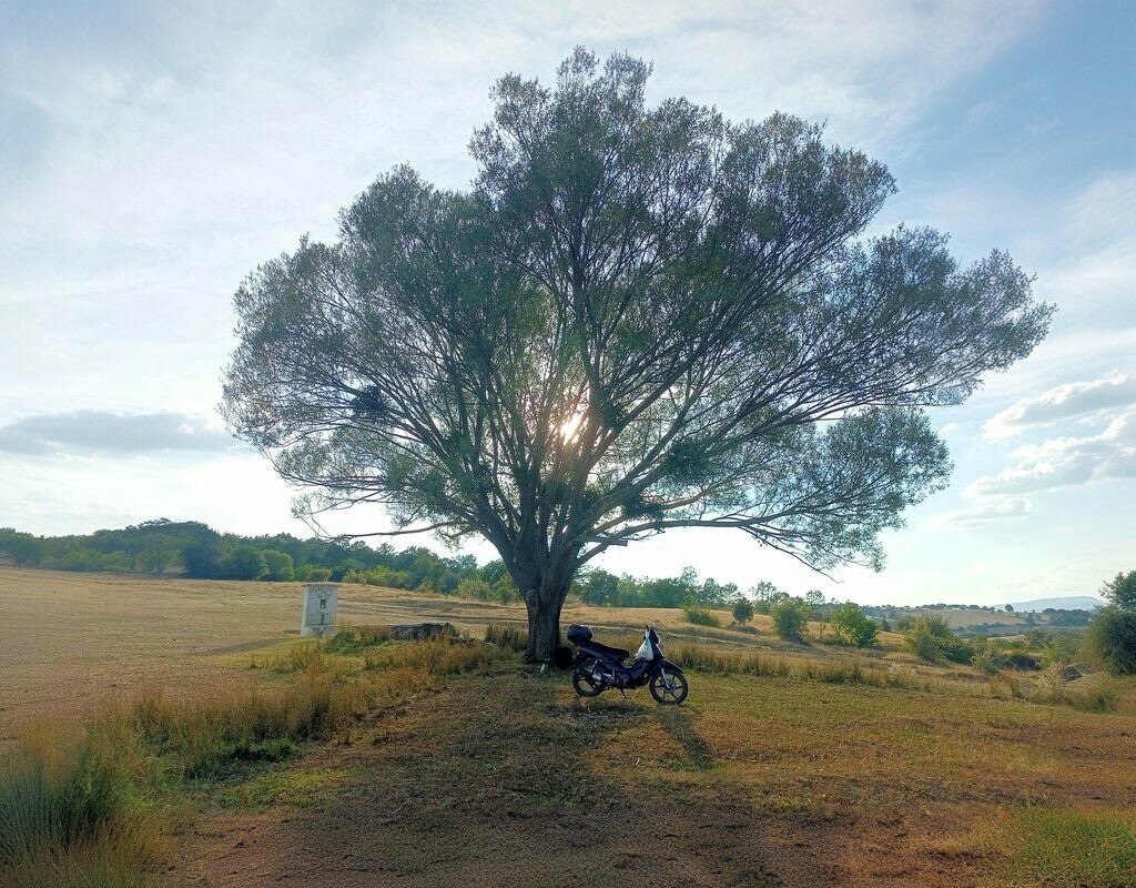 Mosque Pasacik Village Mosque, Banaz, photo