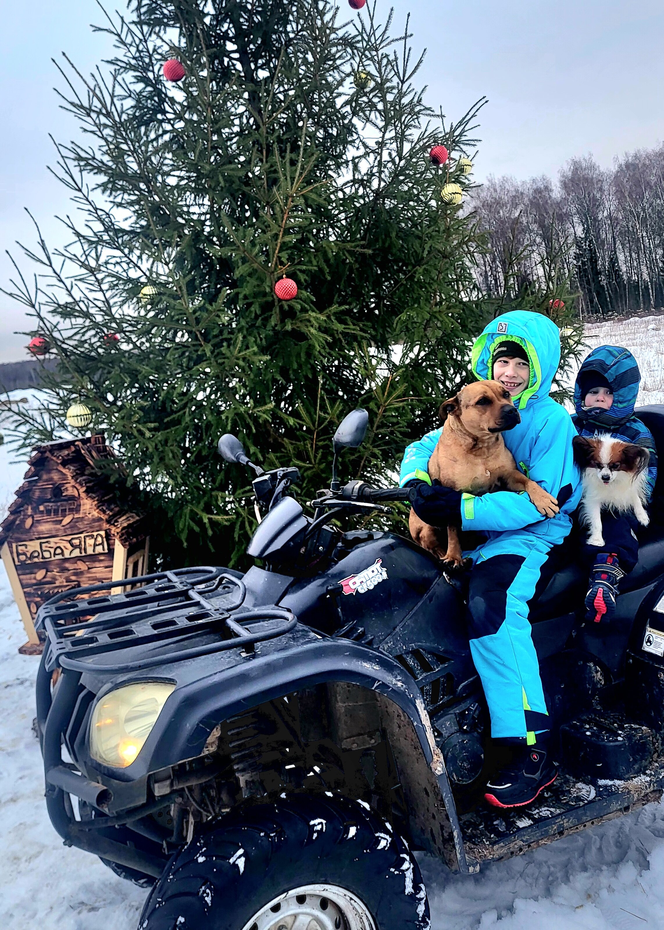 Фото Семейная экоферма