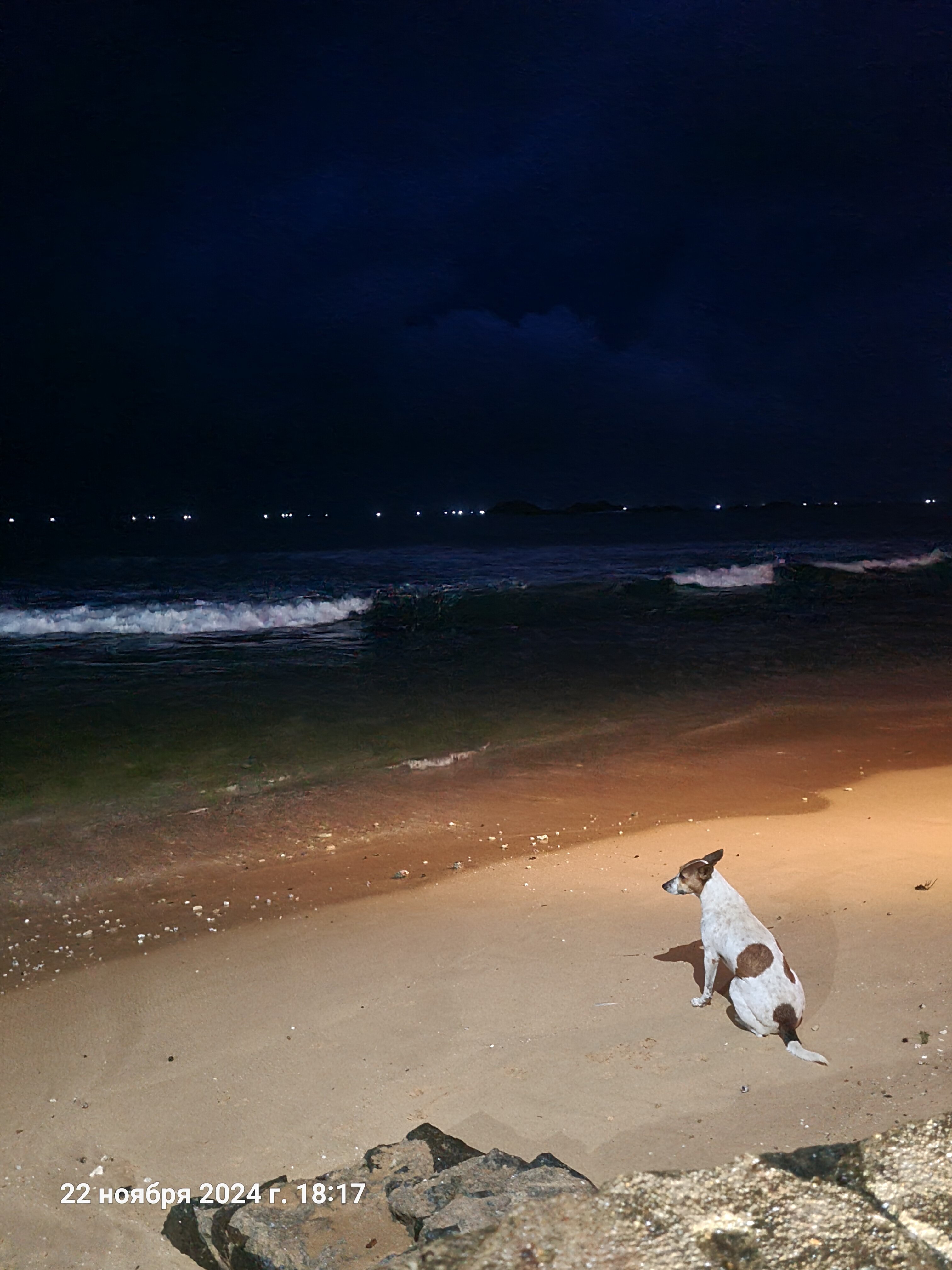 Фото Hotel Lanka Super Corals