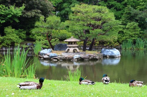 Гостиница Hotel Mystays Premier Sapporo Park в Саппоро