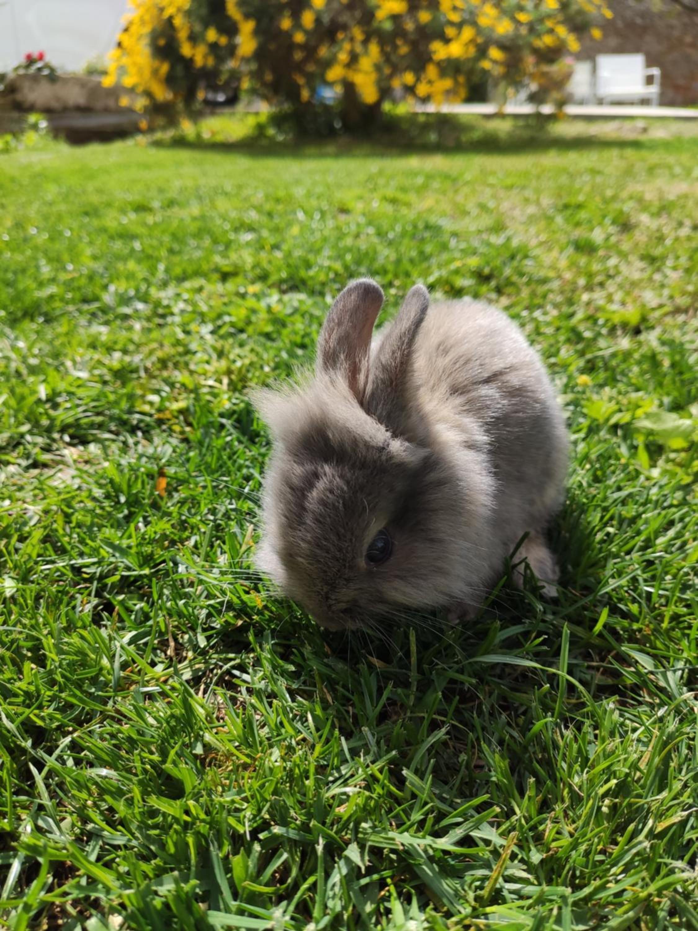 Фото Masseria Costarella
