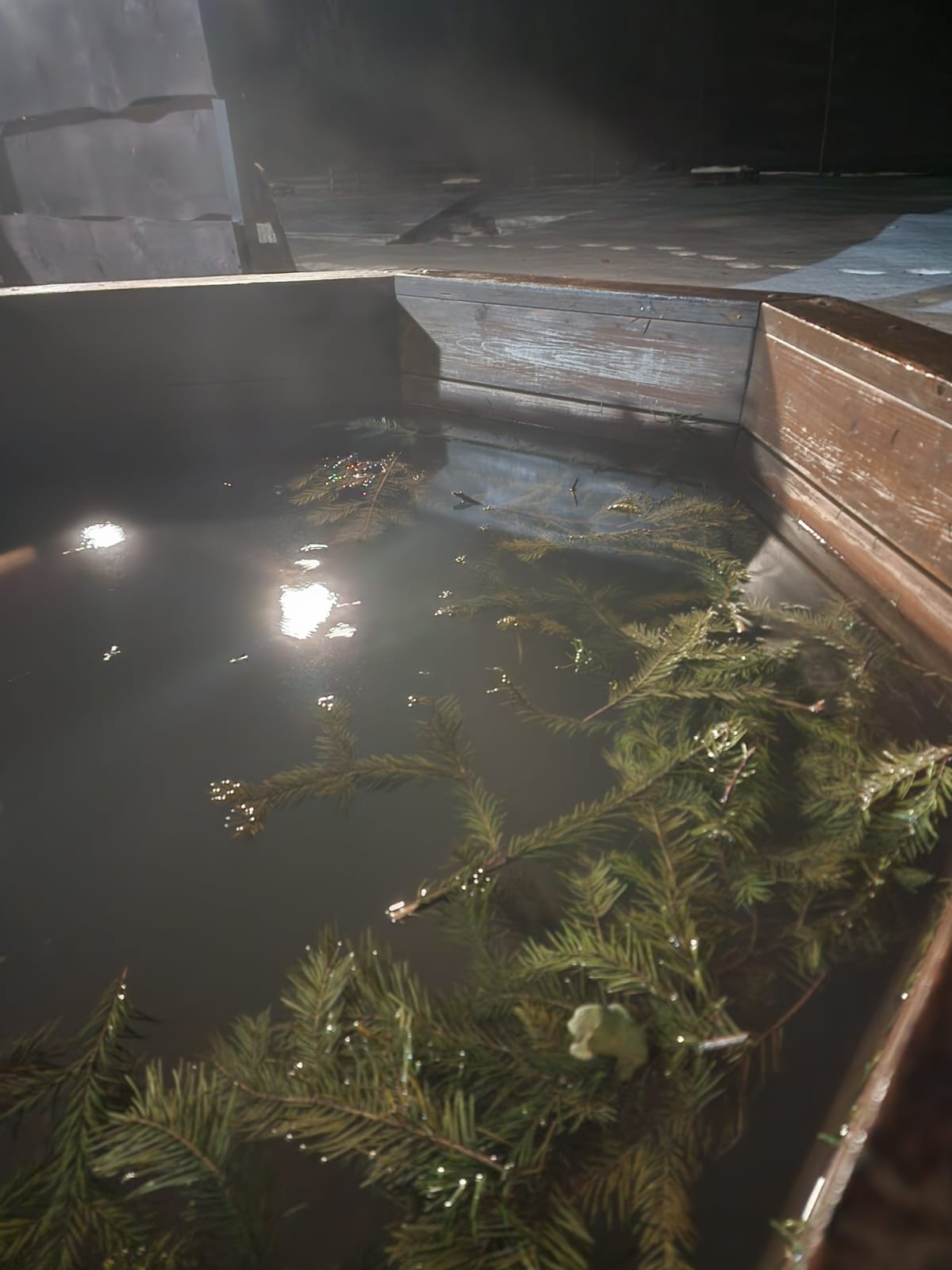 Фото Фазенда