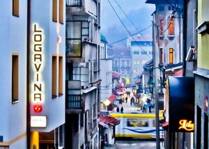 Гостиница Hotel Logavina 8