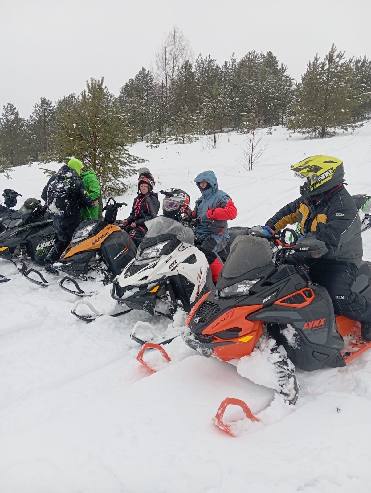 Фото Подкова