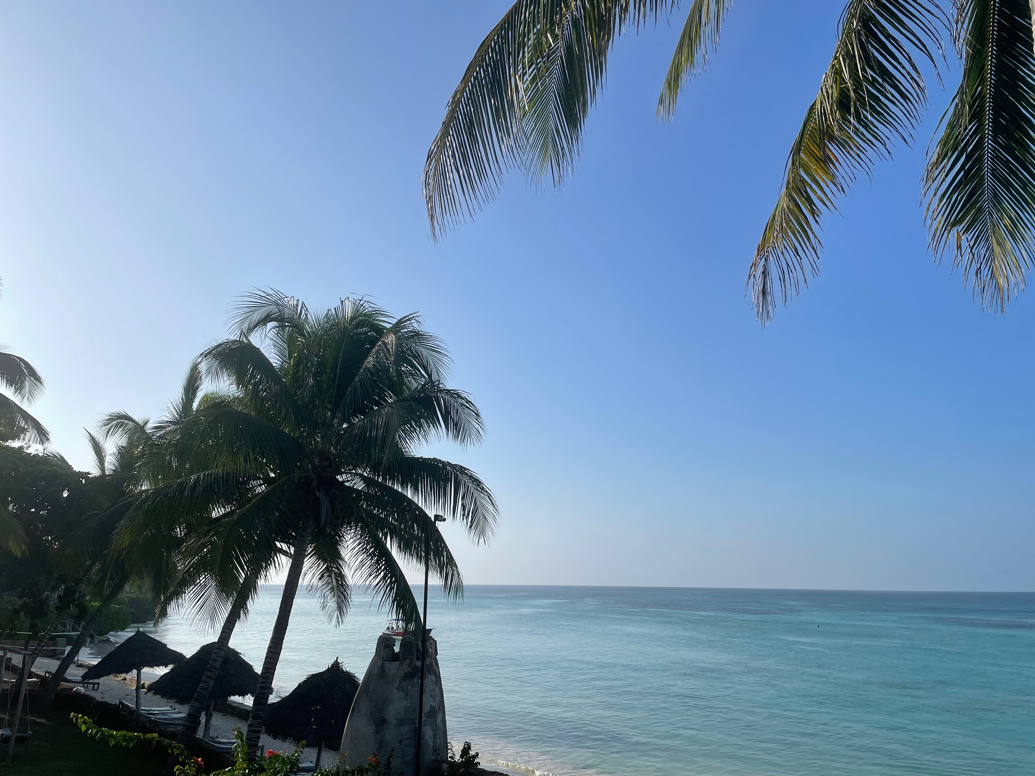 Фото 212545830475