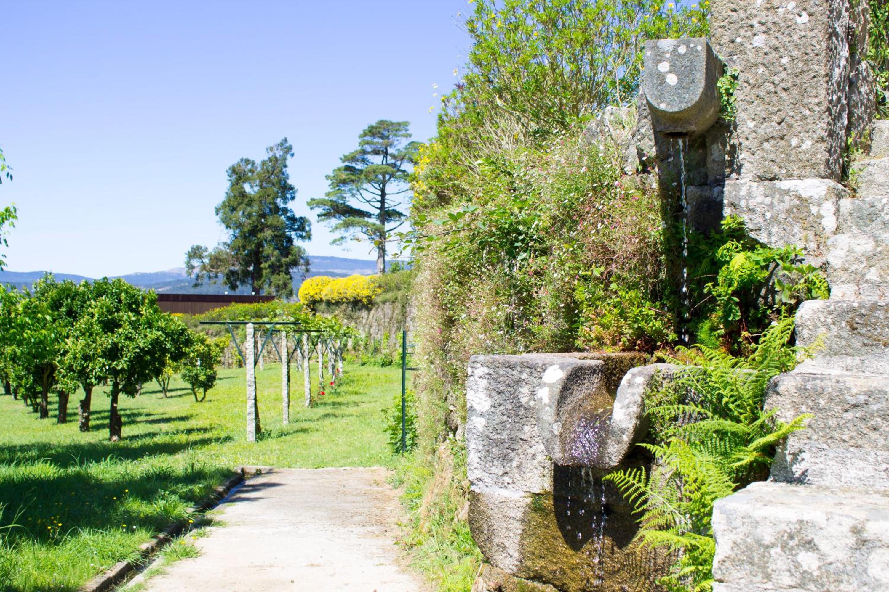 Фото Boega Hotel