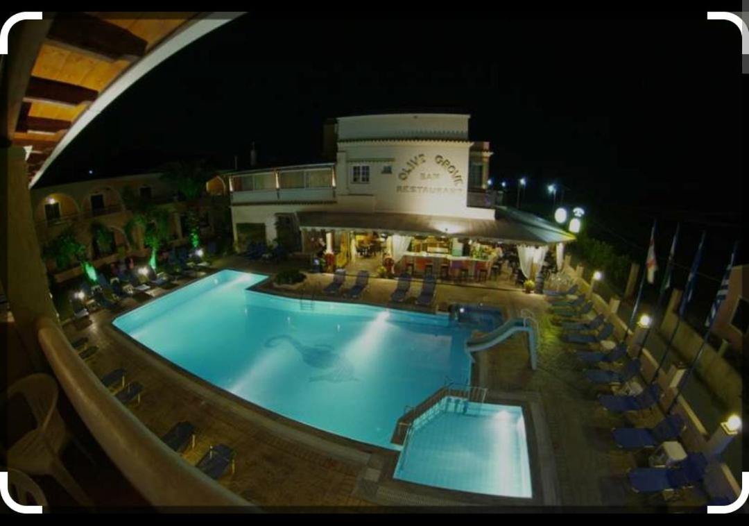 Фото Olive Grove Hotel