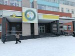 Шахматное королевство (Pavla Shamanova Street, 24), club deportivo, sección