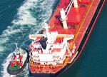 Floki Marine (Istanbul, Kartal, Soganlik Yeni Neighborhood, Aliaga Street, 8), maritime agency