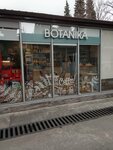 Botanika (Gagarina Street, 57Б), cafetería