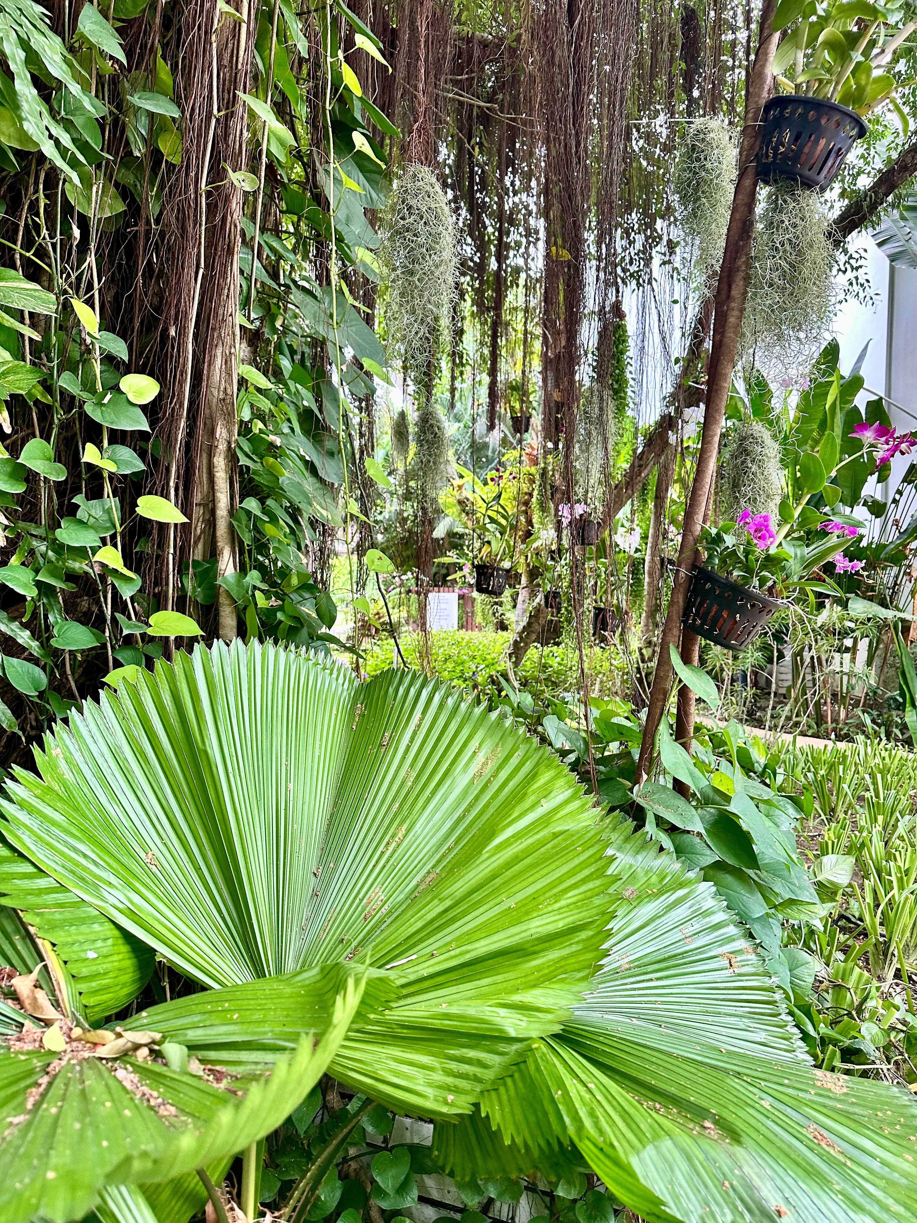 Фото Sunwing Bangtao Beach
