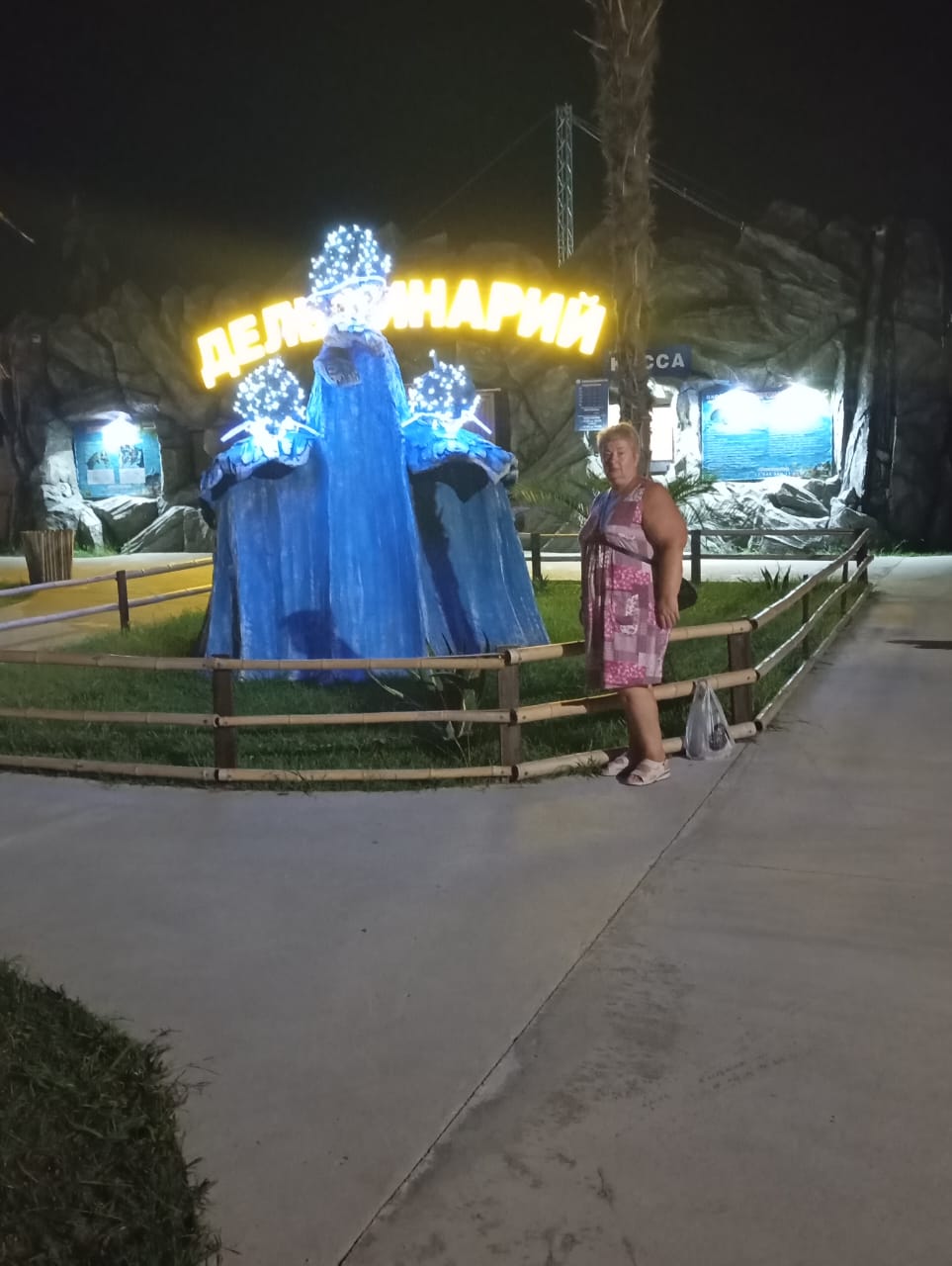 Фото Лаванда