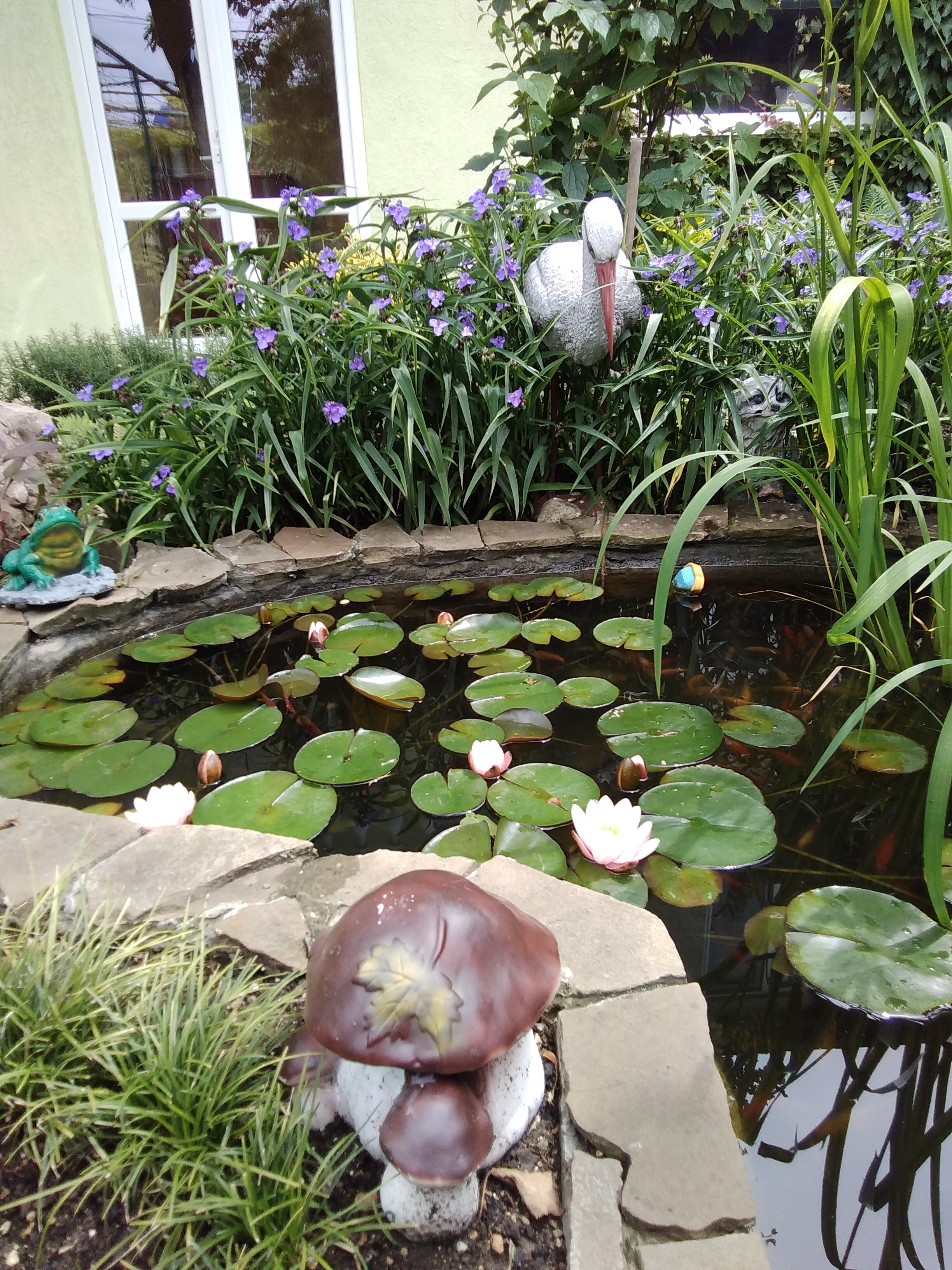 Фото Зелёный дворик