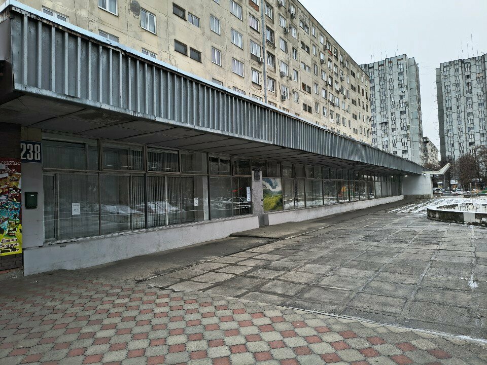 منظمات المجتمع Severo osetinskaya respublika Vserossiyskoye obshchestvo invalidov ، ، صورة