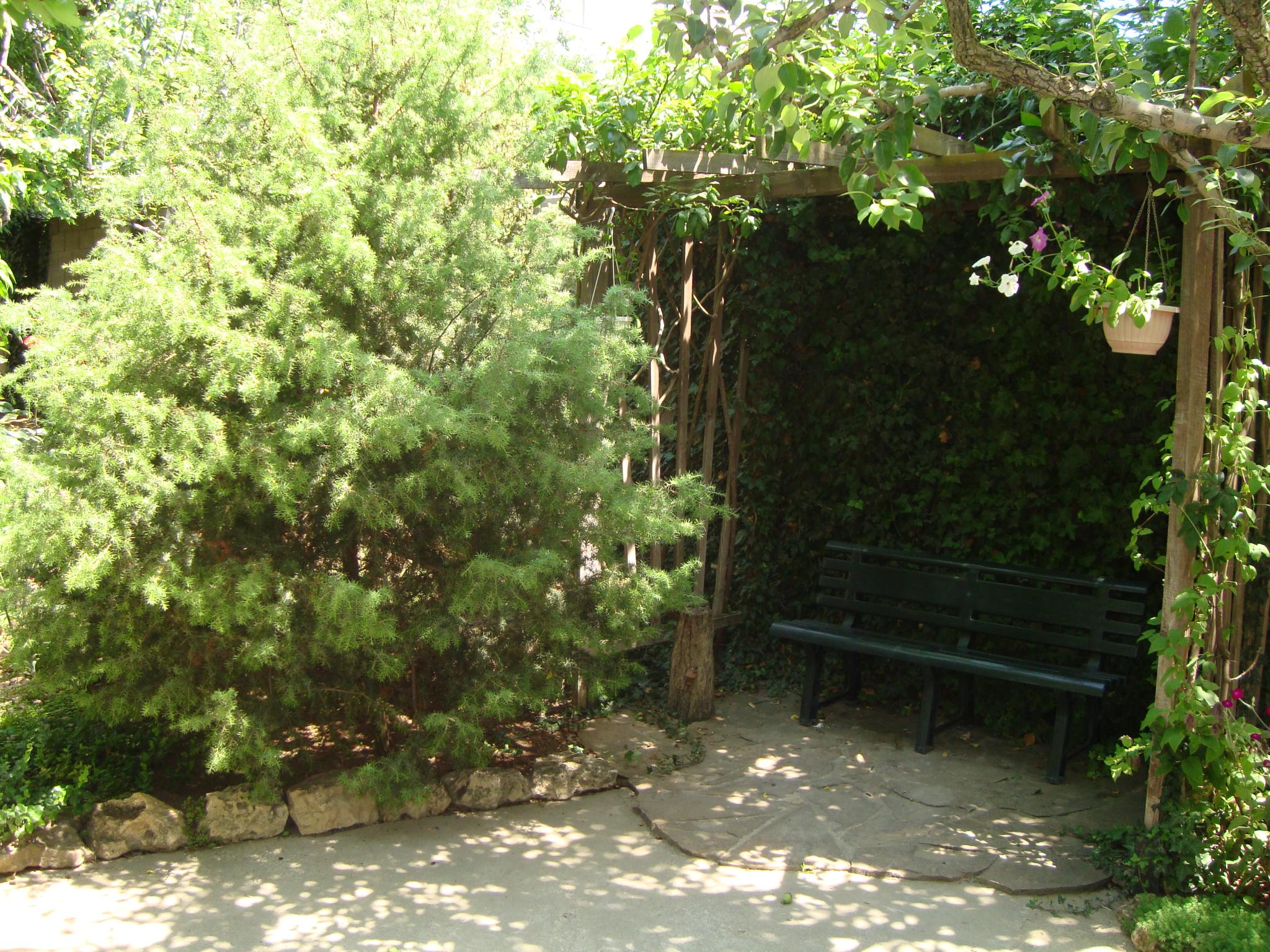 Фото Солнечная Ривьера