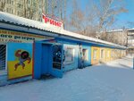 Ring (mikrorayon Zaozyorny, Kommunalnaya ulitsa, 11А), sports club