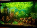 Barbus (Guryanova Street, 21), aquariums
