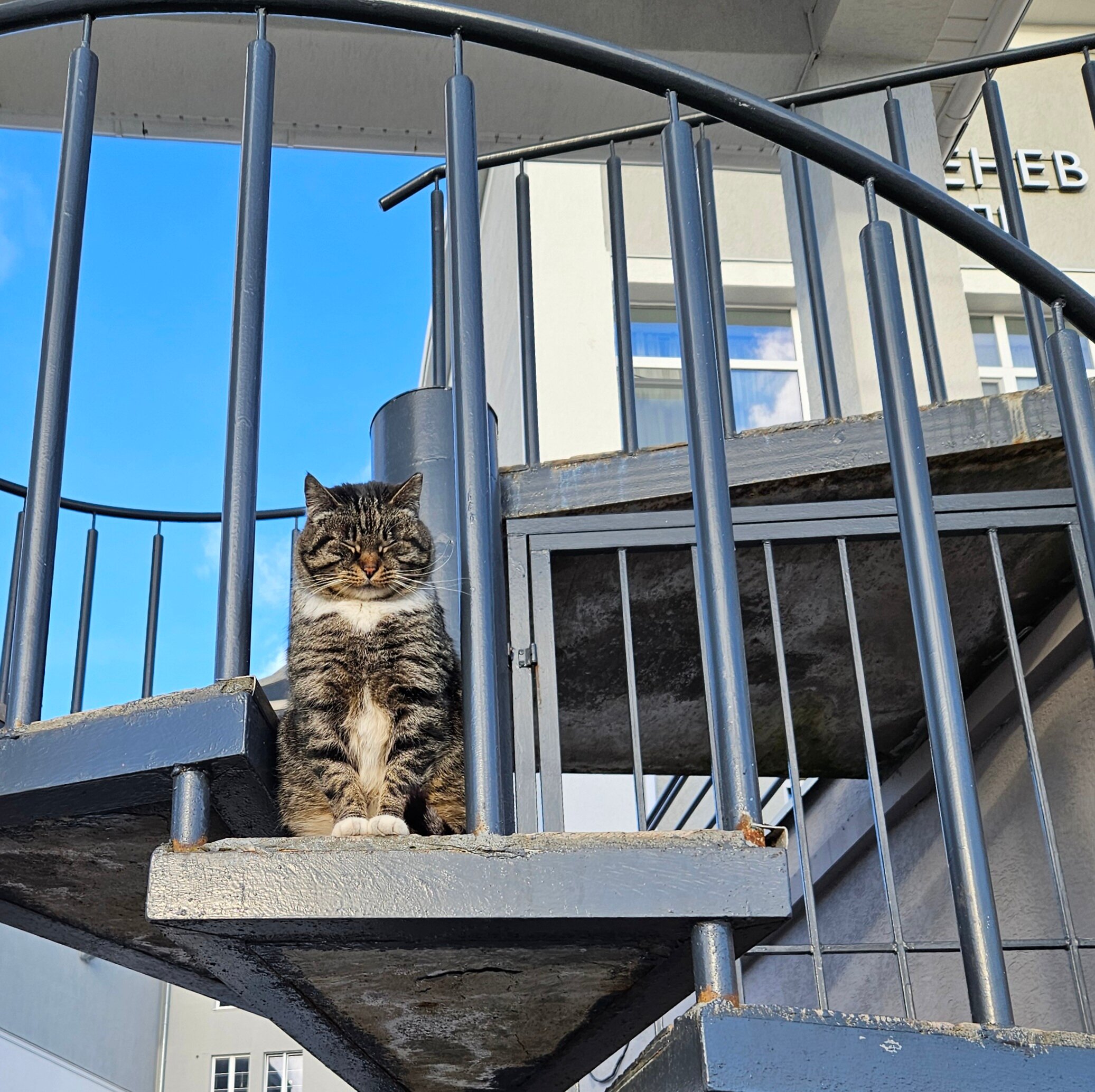 Фото Тургенев