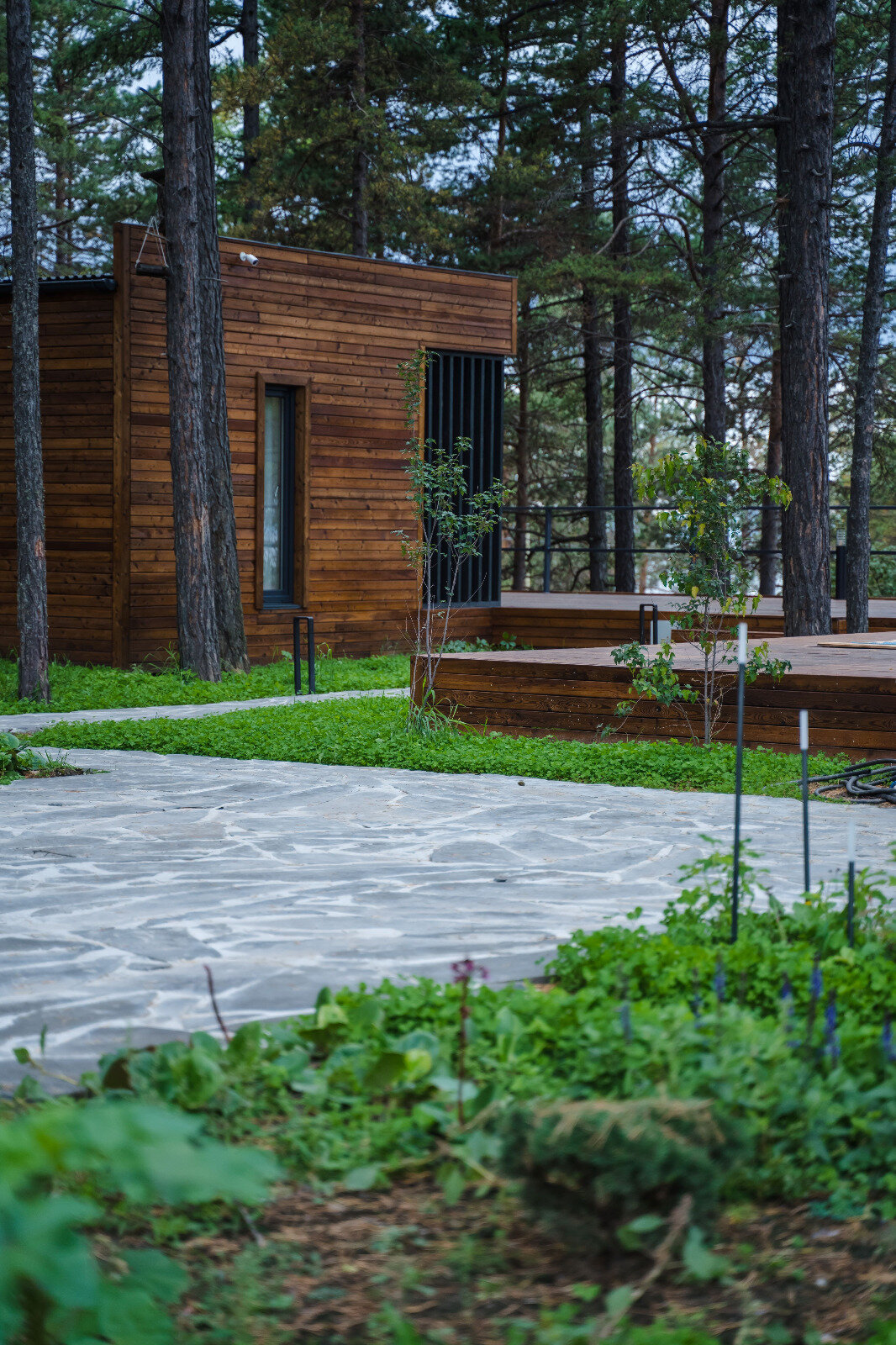 Фото Тэнсуури