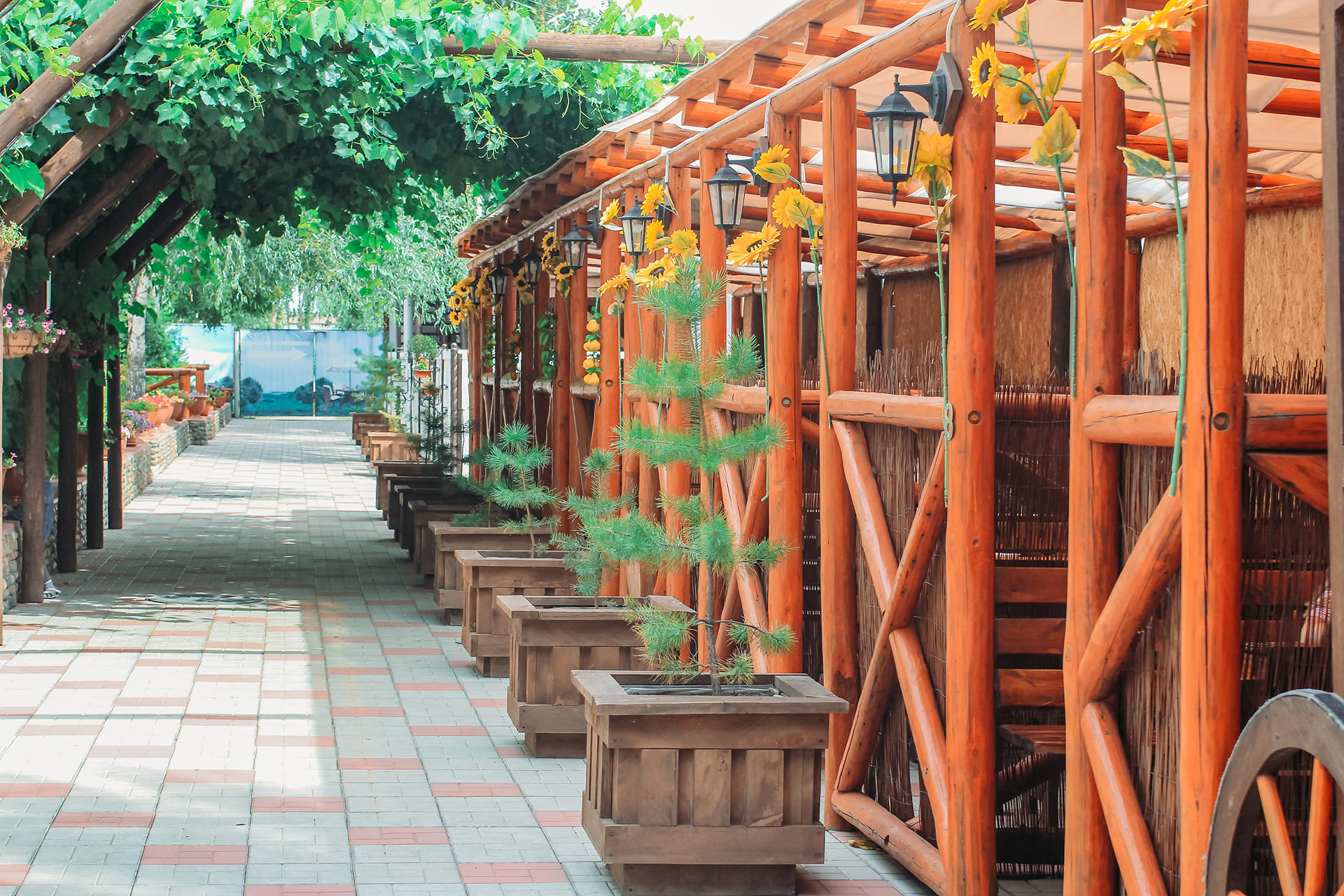 Фото Дилижанс