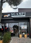 Scampi Trattoria (улица Ленина, 7), restaurant