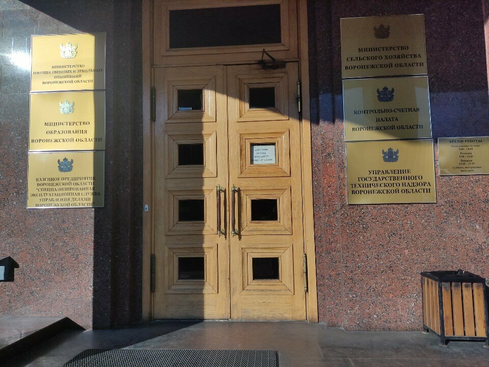 Government ministries, services Министерство имущественных и земельных отношений Воронежской области, Voronezh, photo