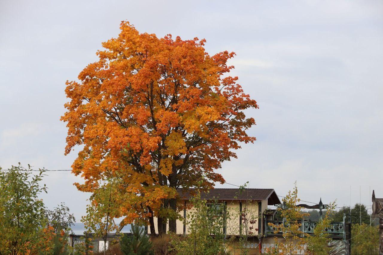 Фото Спортивно-рыболовная база отдыха Здешево