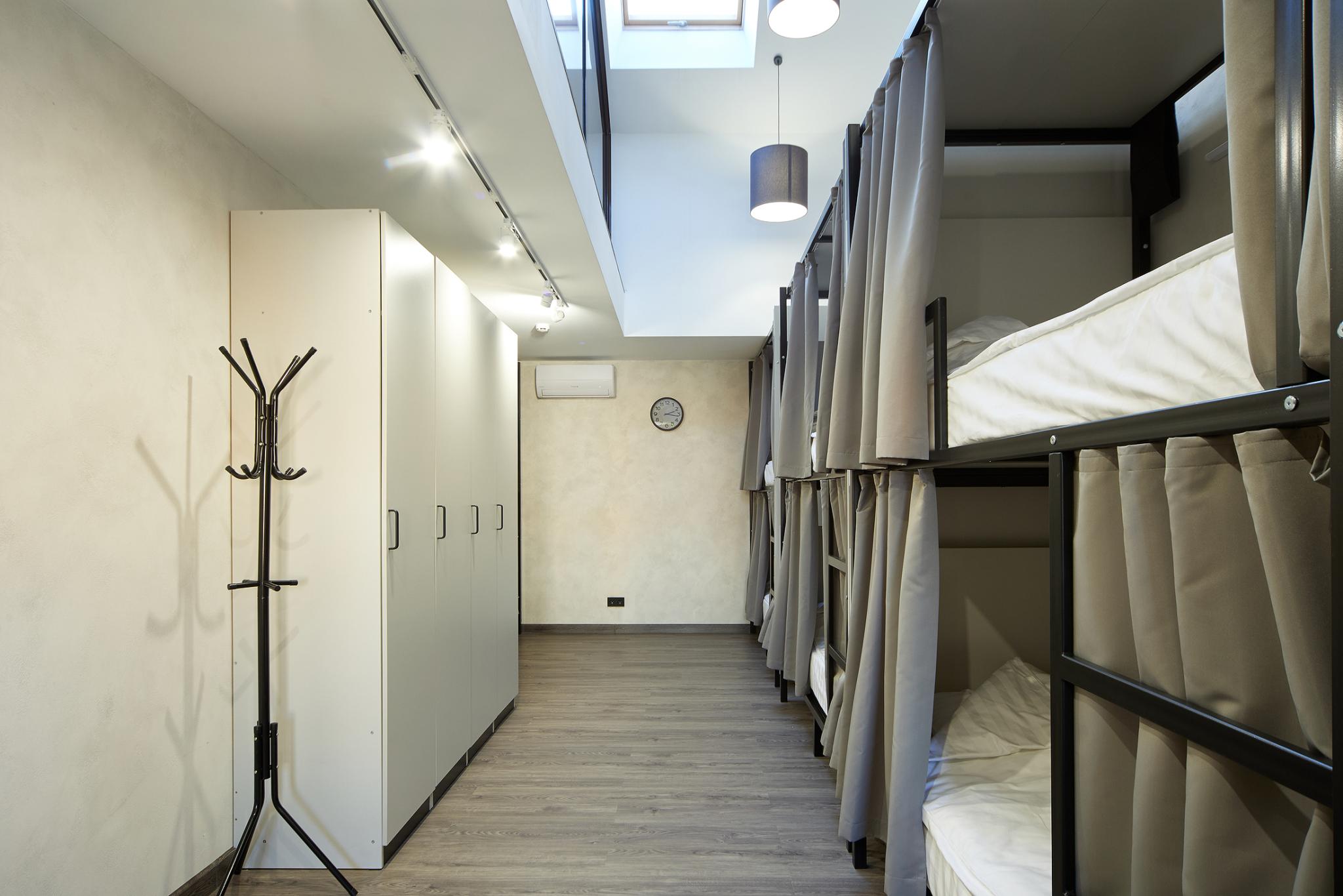 Фото Иркутский кедр