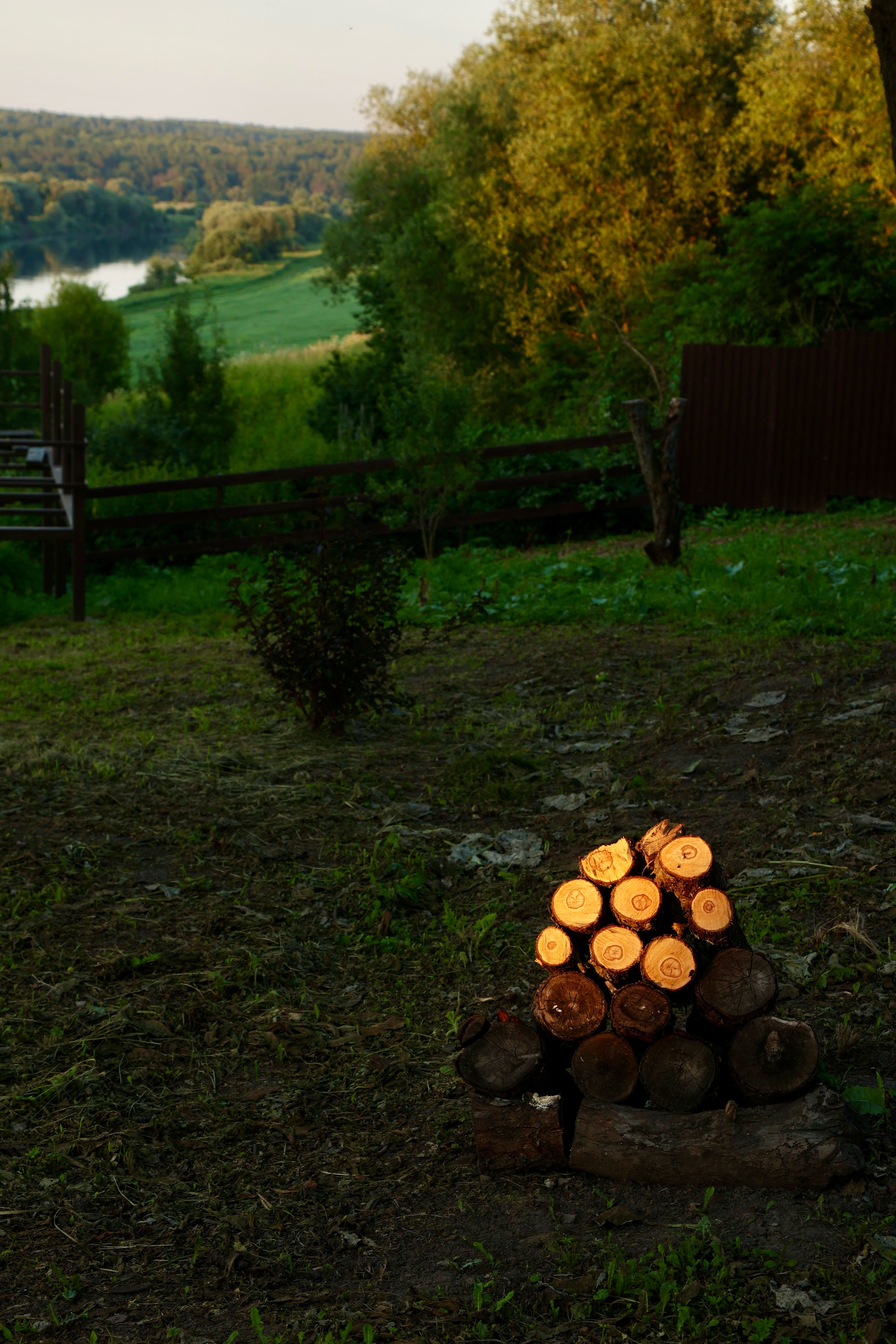 Фото ДомСорок