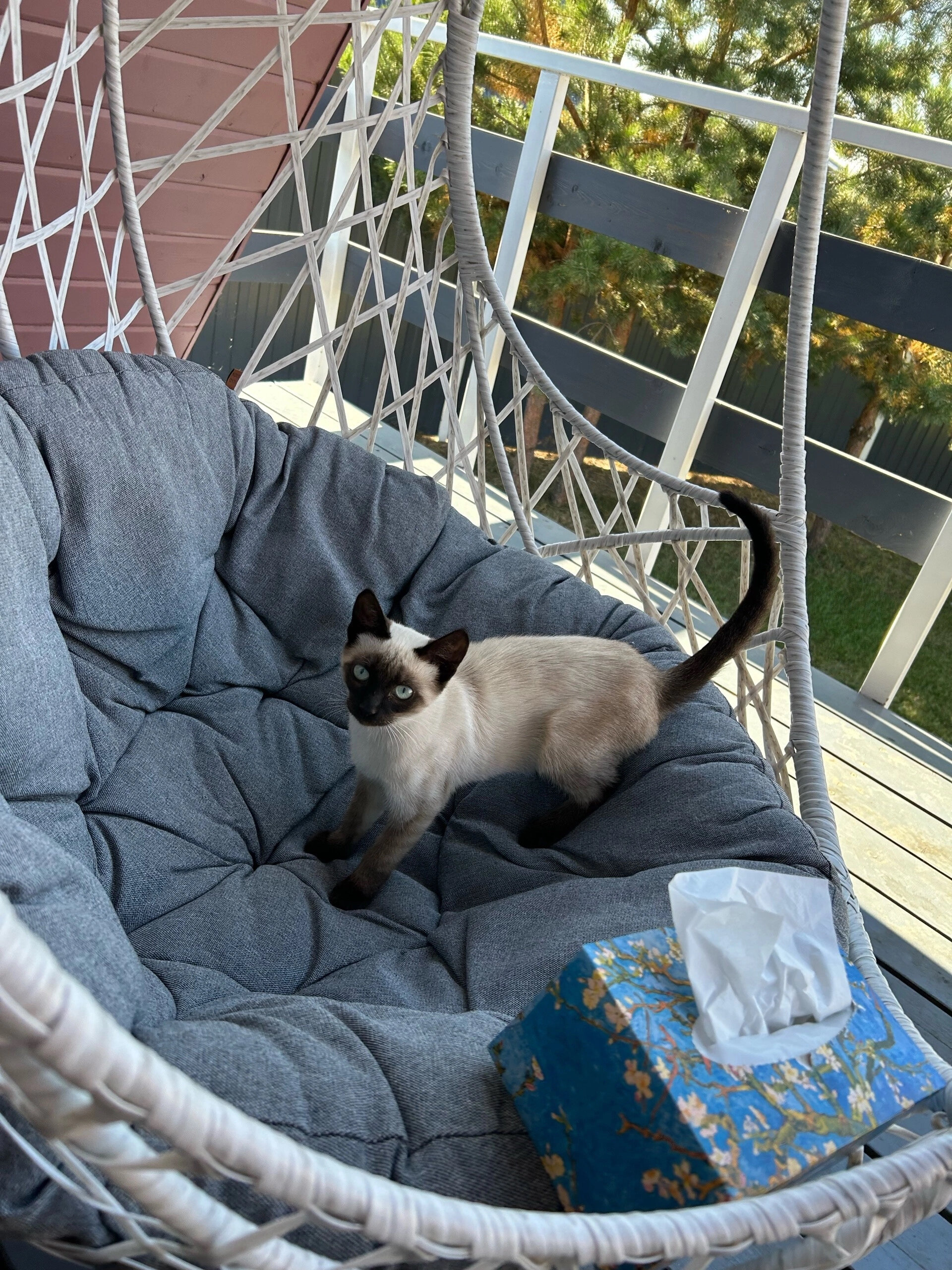 Фото Чердак