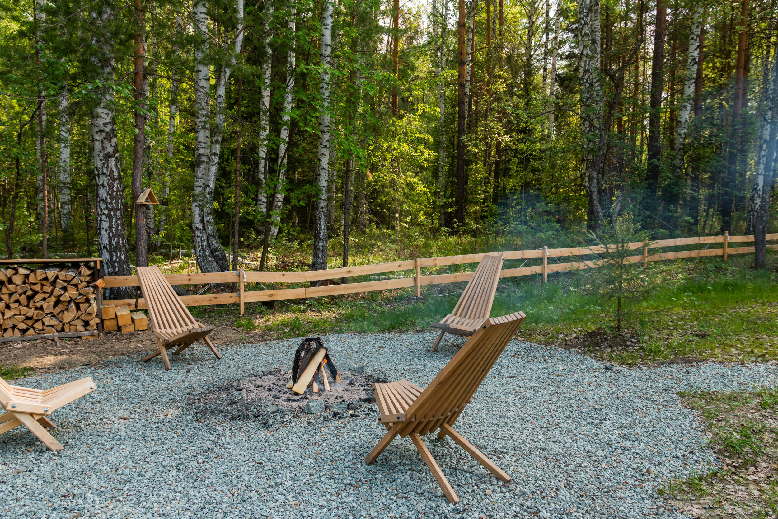 Фото На опушке