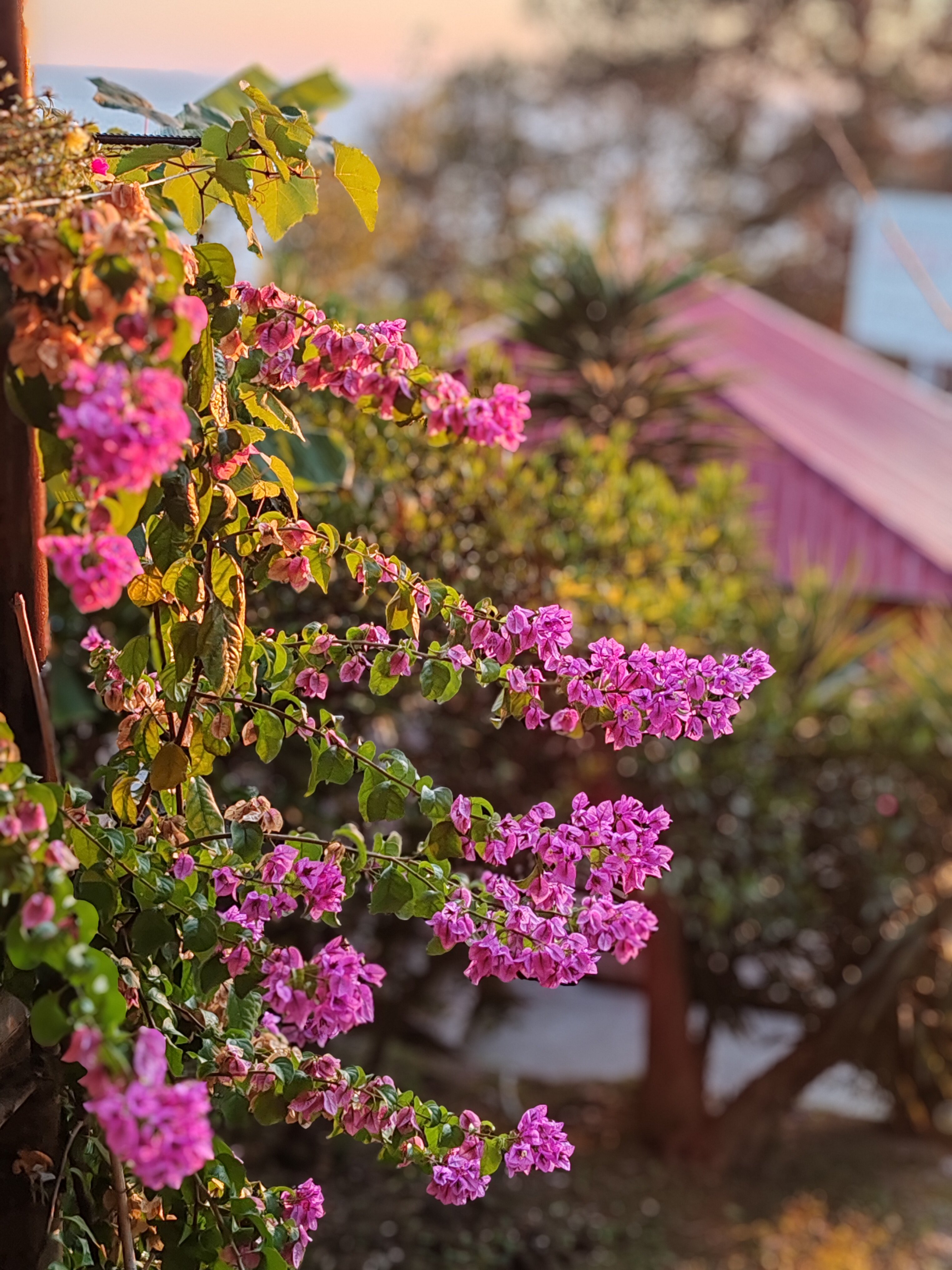 Фото Гостевой дом Ника