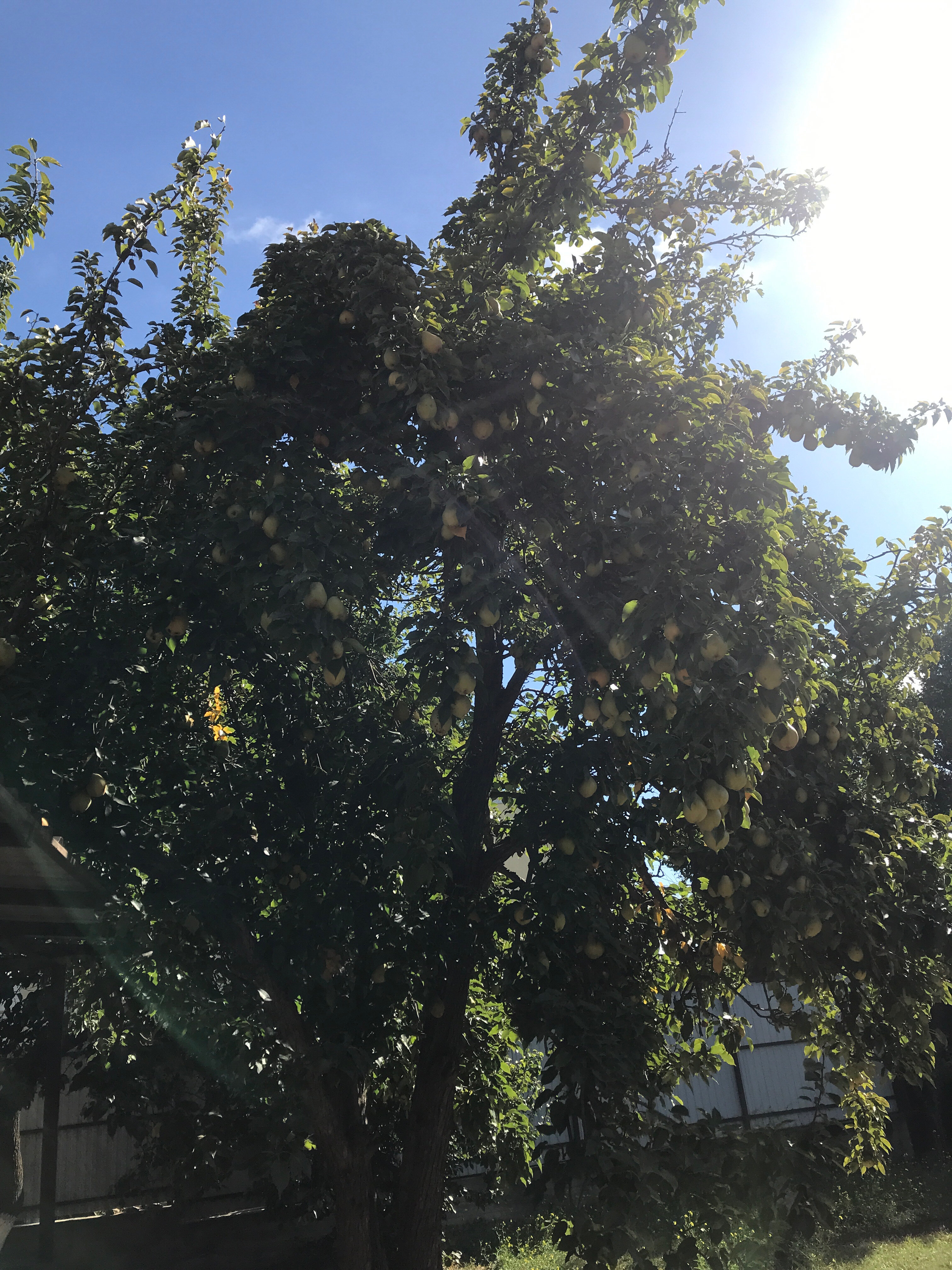 Фото НаМоре