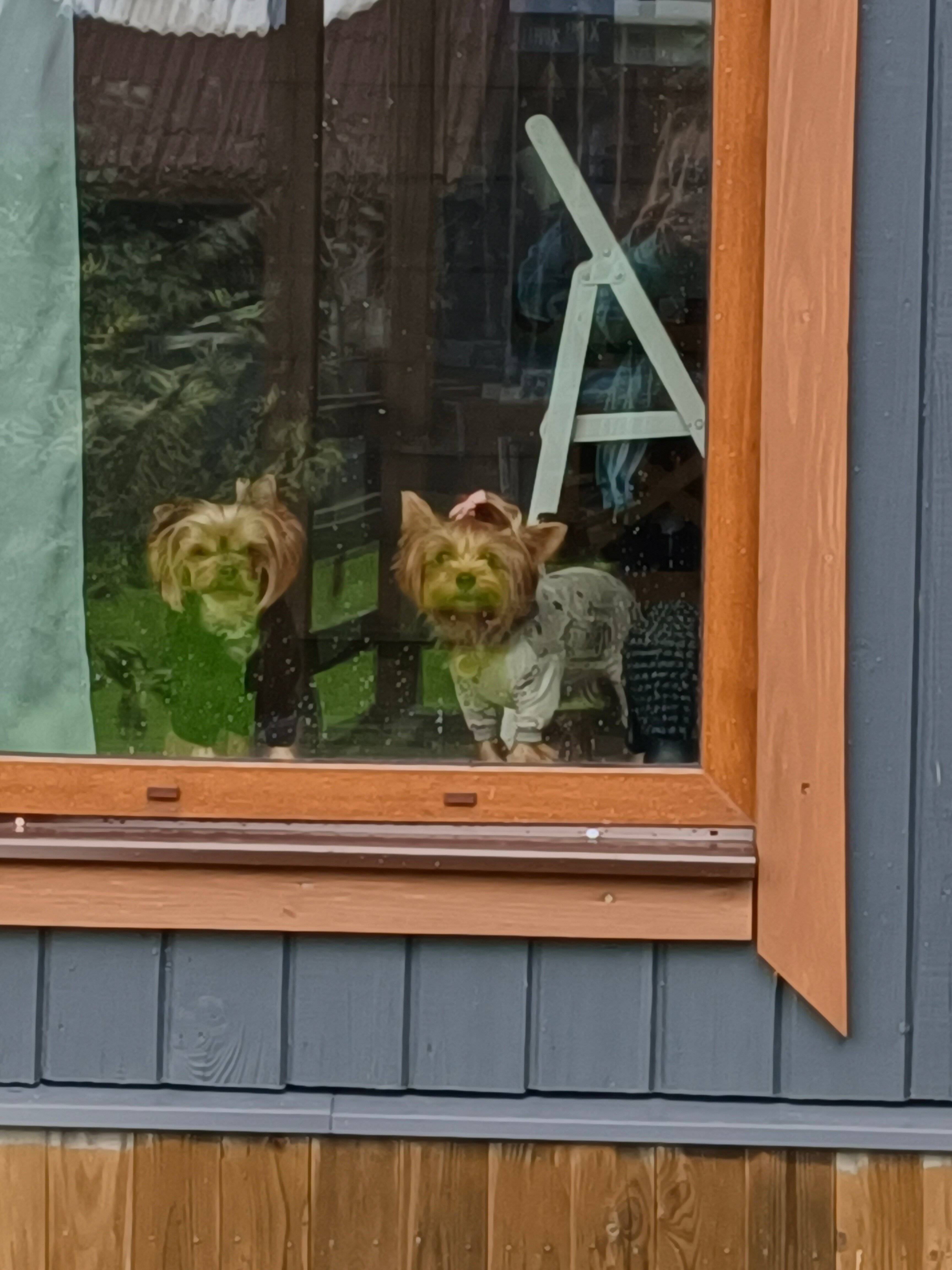 Фото Smoky Hills