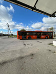Посёлок Прибрежное (Kaliningrad Region, Guryevskiy munitsipalny okrug, posyolok Pribrezhnoye, Zapadny pereulok), public transport stop