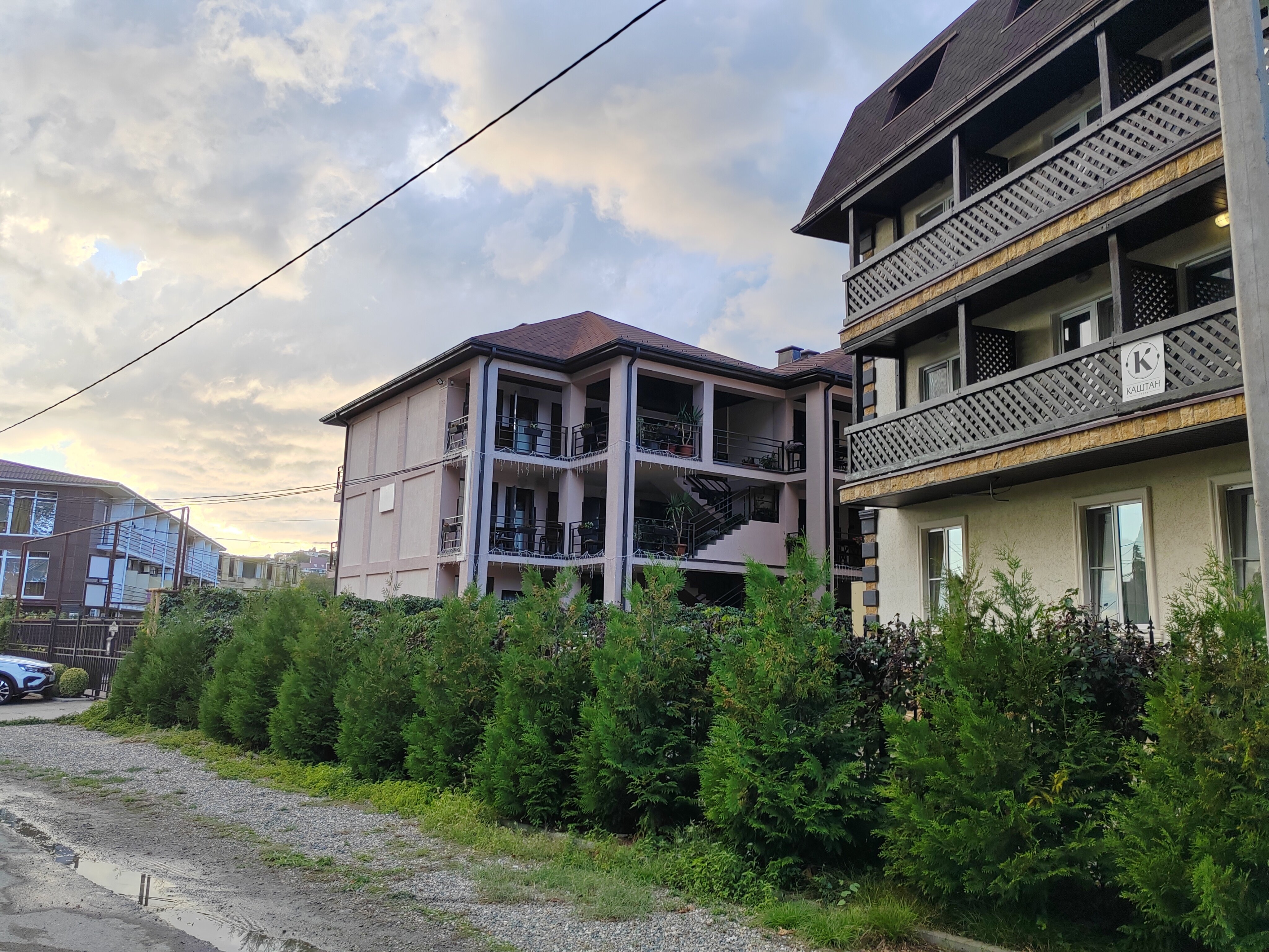 Фото Вероника